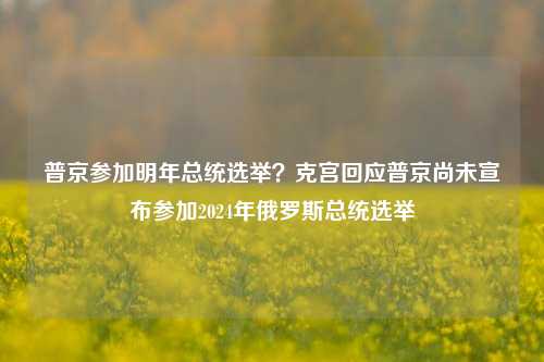 普京参加明年总统选举？克宫回应普京尚未宣布参加2024年俄罗斯总统选举