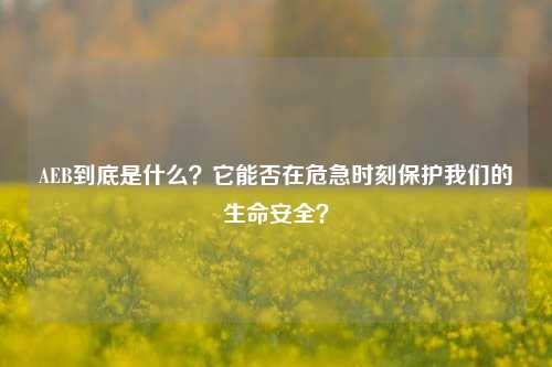 AEB到底是什么？它能否在危急时刻保护我们的生命安全？