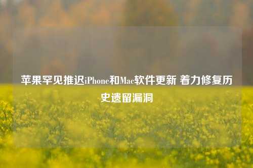 苹果罕见推迟iPhone和Mac软件更新 着力修复历史遗留漏洞