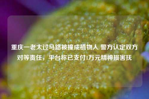 重庆一老太过马路被撞成植物人 警方认定双方对等责任，平台称已支付1万元精神损害抚