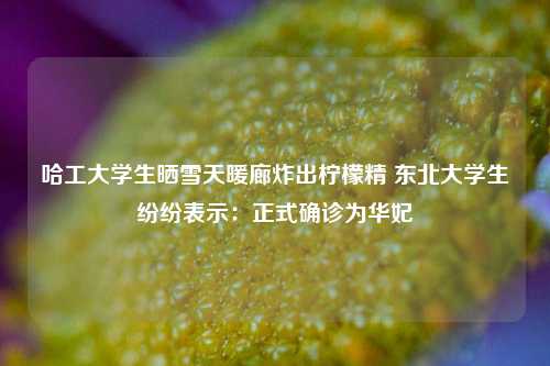 哈工大学生晒雪天暖廊炸出柠檬精 东北大学生纷纷表示：正式确诊为华妃