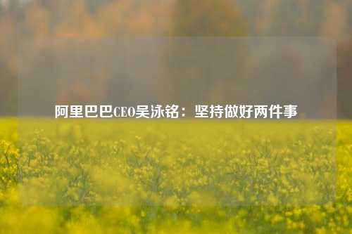 阿里巴巴CEO吴泳铭：坚持做好两件事