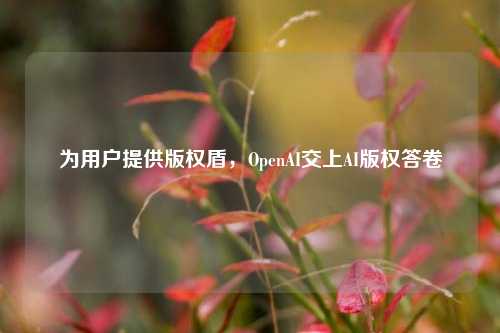 为用户提供版权盾，OpenAI交上AI版权答卷