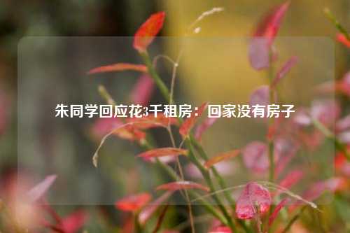 朱同学回应花3千租房：回家没有房子