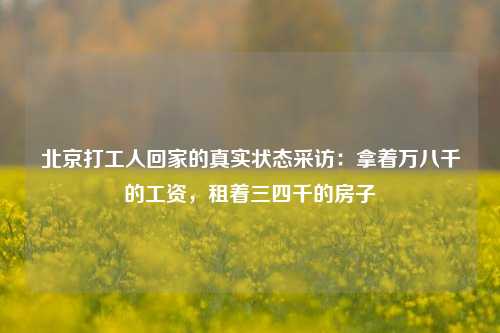 北京打工人回家的真实状态采访：拿着万八千的工资，租着三四千的房子