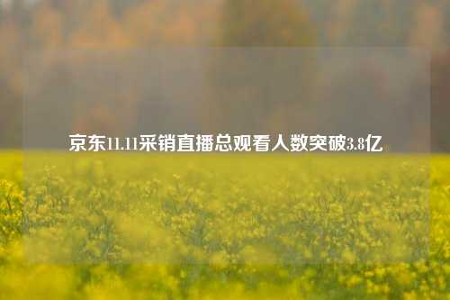 京东11.11采销直播总观看人数突破3.8亿