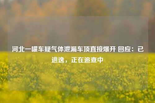 河北一罐车疑气体泄漏车顶直接爆开 回应：已逃逸，正在追查中