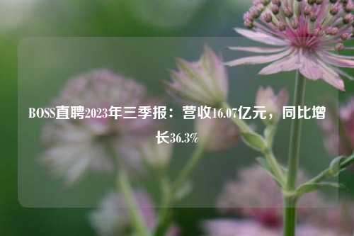 BOSS直聘2023年三季报：营收16.07亿元，同比增长36.3%