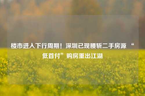 楼市进入下行周期！深圳已现腰斩二手房源 “低首付”购房重出江湖