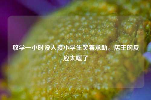 放学一小时没人接小学生哭着求助。店主的反应太暖了