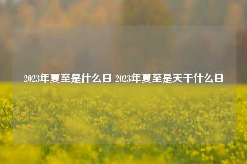 2023年夏至是什么日 2023年夏至是天干什么日