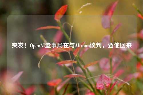 突发！OpenAI董事局在与Altman谈判，要他回来