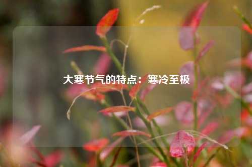 大寒节气的特点：寒冷至极