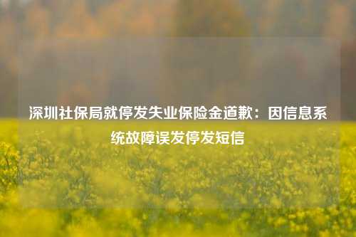 深圳社保局就停发失业保险金道歉：因信息系统故障误发停发短信