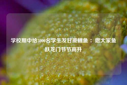 学校期中给3000名学生发甘蔗鲤鱼 ：愿大家鱼跃龙门节节高升