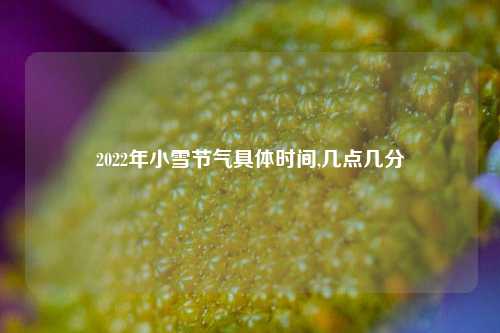 2022年小雪节气具体时间,几点几分