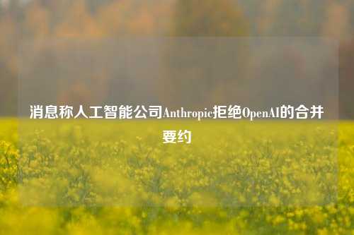 消息称人工智能公司Anthropic拒绝OpenAI的合并要约