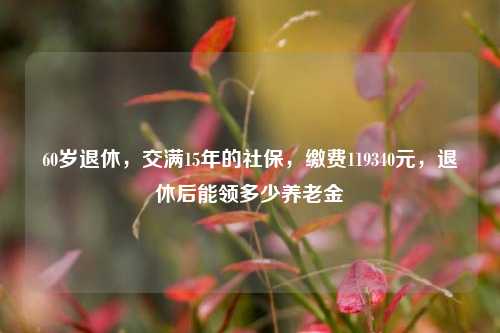 60岁退休，交满15年的社保，缴费119340元，退休后能领多少养老金