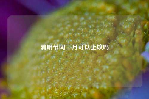 清明节闰二月可以上坟吗