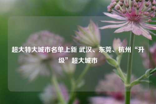 超大特大城市名单上新 武汉、东莞、杭州“升级”超大城市