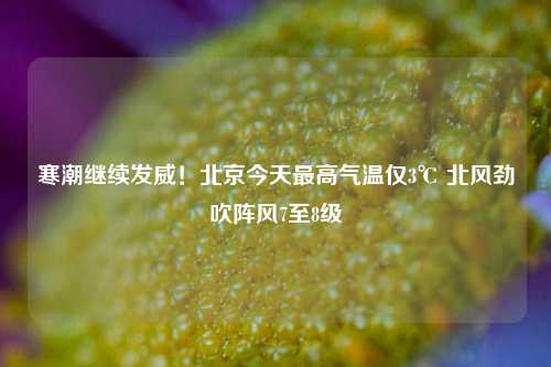 寒潮继续发威！北京今天最高气温仅3℃ 北风劲吹阵风7至8级