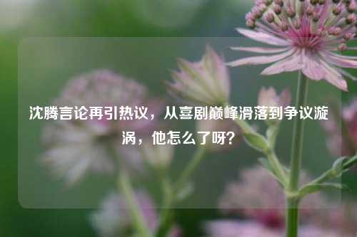 沈腾言论再引热议，从喜剧巅峰滑落到争议漩涡，他怎么了呀？