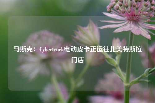 马斯克：Cybertruck电动皮卡正运往北美特斯拉门店