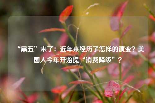 “黑五”来了：近年来经历了怎样的演变？美国人今年开始提“消费降级”？