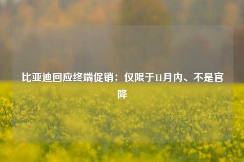 比亚迪回应终端促销：仅限于11月内、不是官降