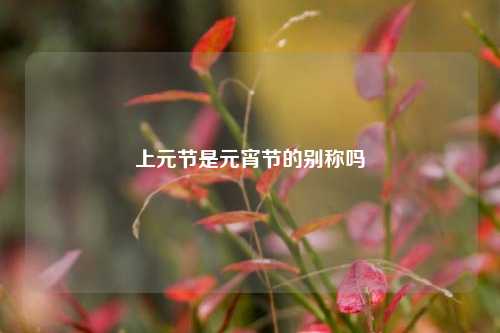 上元节是元宵节的别称吗