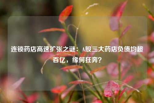 连锁药店高速扩张之谜：A股三大药店负债均超百亿，缘何狂奔？