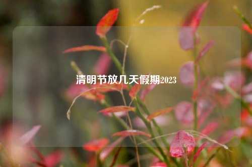 清明节放几天假期2023