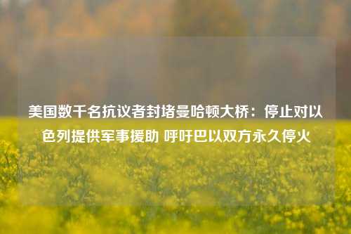 美国数千名抗议者封堵曼哈顿大桥：停止对以色列提供军事援助 呼吁巴以双方永久停火