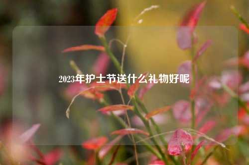 2023年护士节送什么礼物好呢