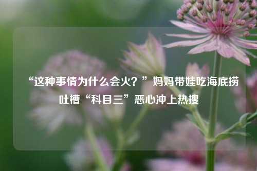 “这种事情为什么会火？”妈妈带娃吃海底捞吐槽“科目三”恶心冲上热搜