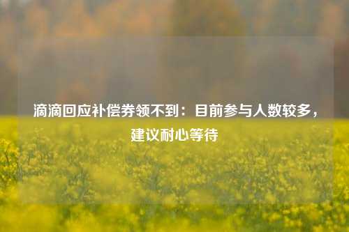 滴滴回应补偿券领不到：目前参与人数较多，建议耐心等待