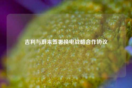 吉利与蔚来签署换电战略合作协议