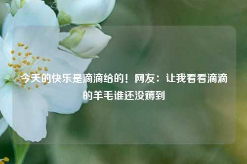 今天的快乐是滴滴给的！网友：让我看看滴滴的羊毛谁还没薅到