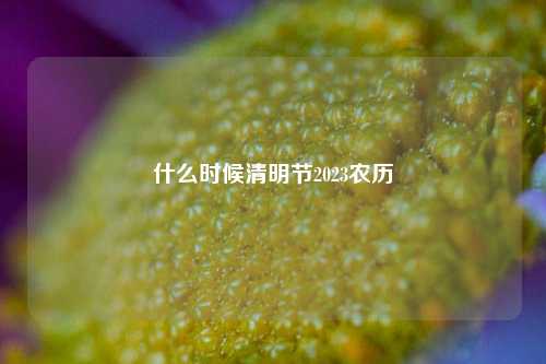 什么时候清明节2023农历