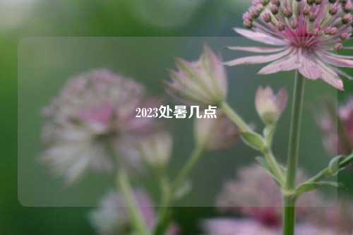 2023处暑几点