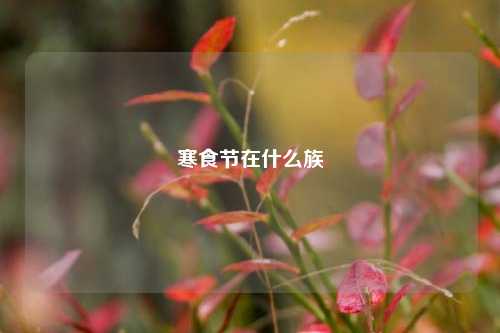 寒食节在什么族