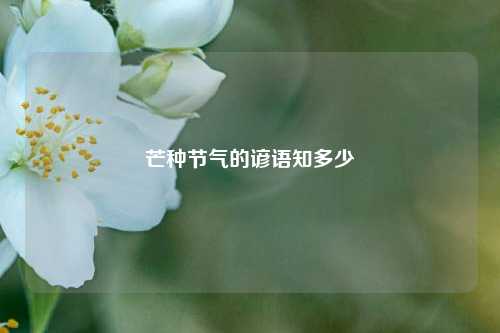 芒种节气的谚语知多少