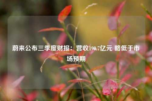 蔚来公布三季度财报：营收190.7亿元 略低于市场预期