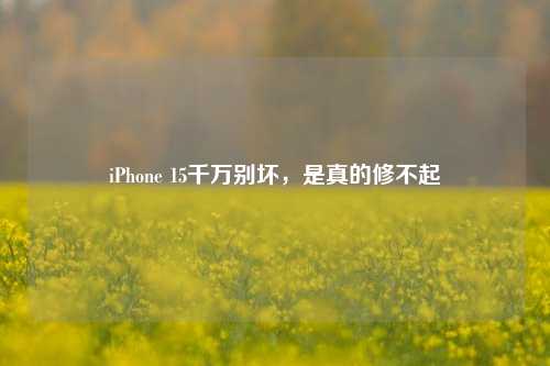 iPhone 15千万别坏，是真的修不起