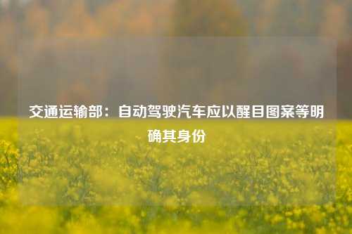 交通运输部：自动驾驶汽车应以醒目图案等明确其身份