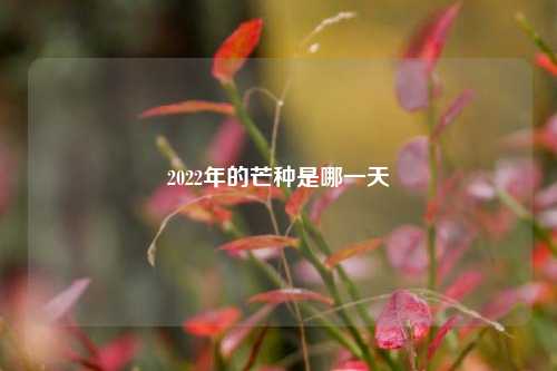 2022年的芒种是哪一天