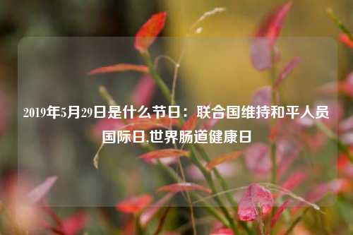 2019年5月29日是什么节日：联合国维持和平人员国际日,世界肠道健康日