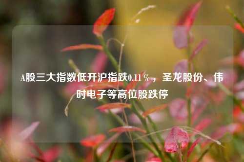 A股三大指数低开沪指跌0.11％，圣龙股份、伟时电子等高位股跌停