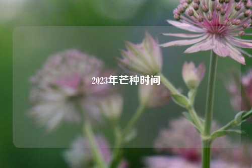 2023年芒种时间