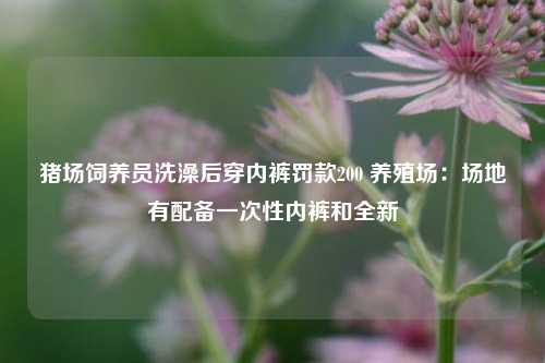 猪场饲养员洗澡后穿内裤罚款200 养殖场：场地有配备一次性内裤和全新